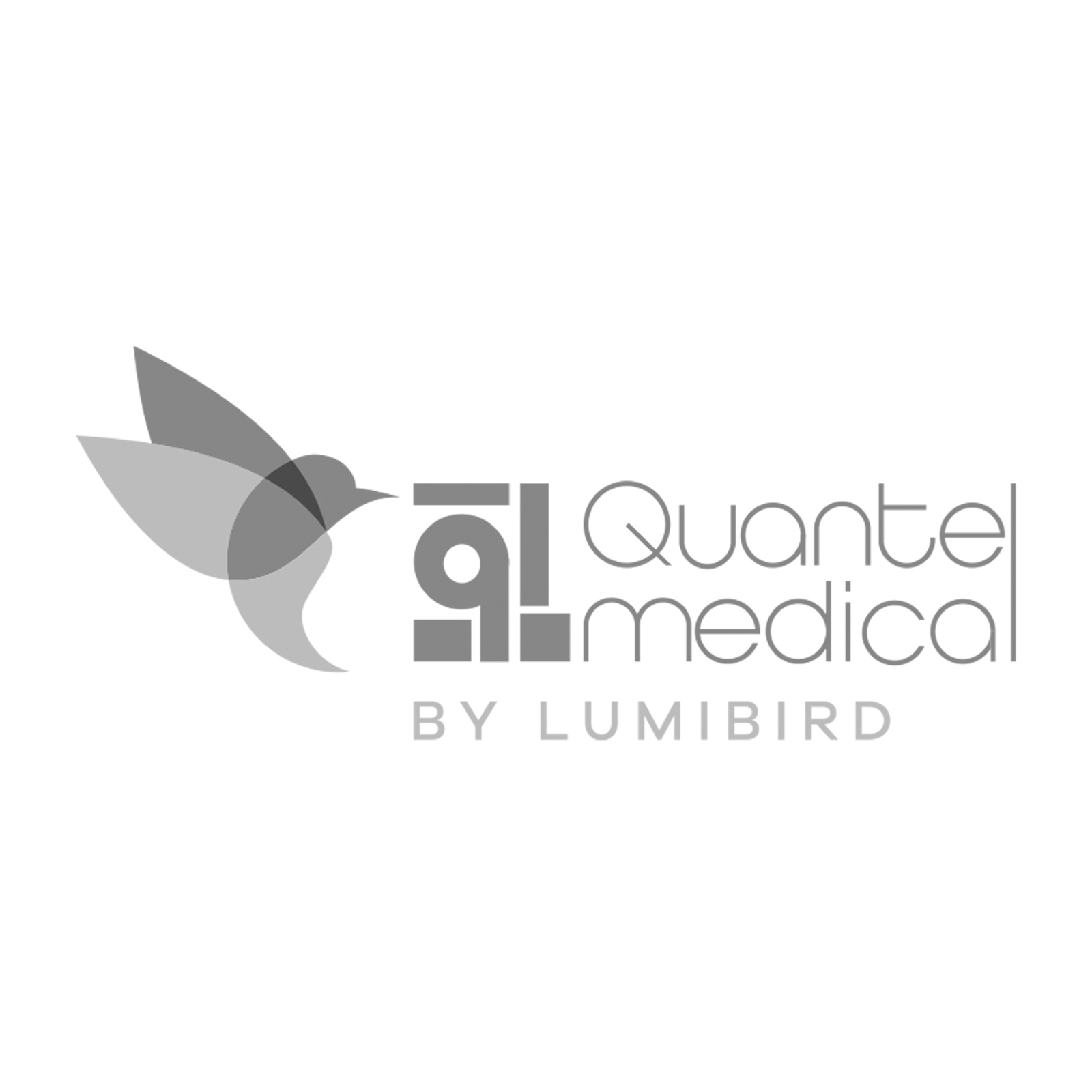 Quantel Medical S.A. [30208]
